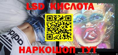 шишки Заводоуковск
