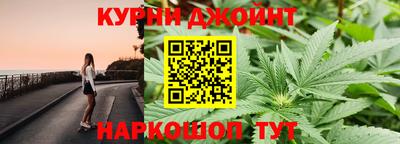 гашик Жуковский