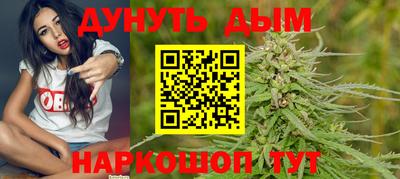 шишки Заводоуковск