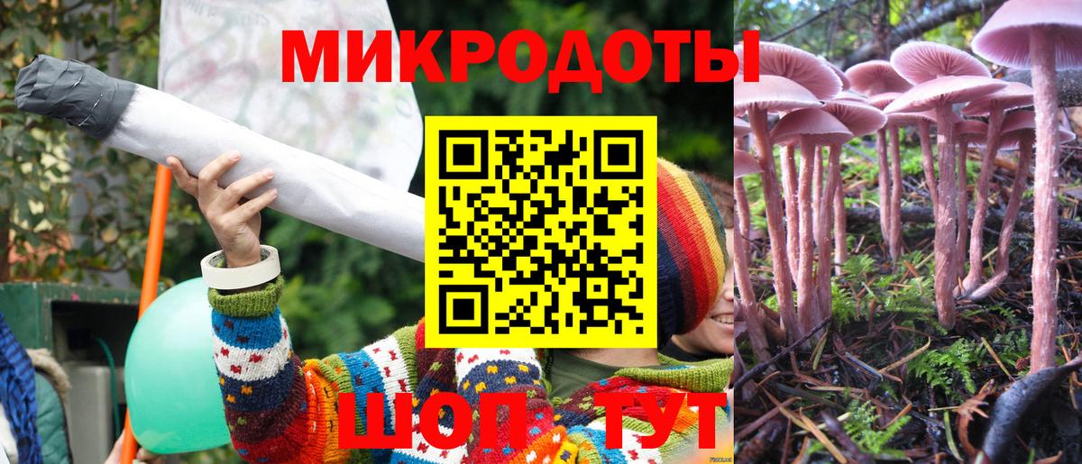 Галлюциногенные грибы мухоморы Кандалакша