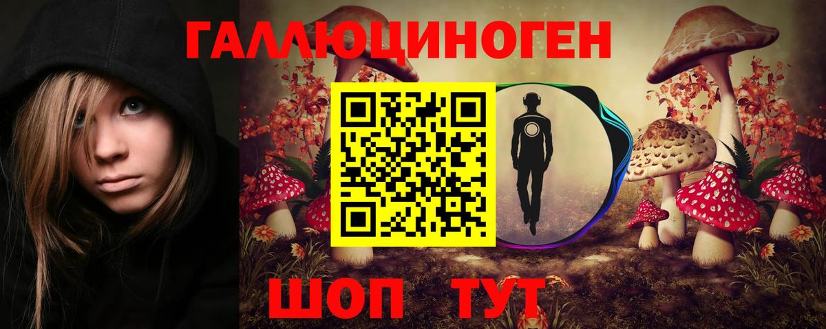 Кандалакша  Псилоцибиновые грибы Psilocybine cubensis  Вход с VPN  Галлюциногенные грибы Psilocybine cubensis 
